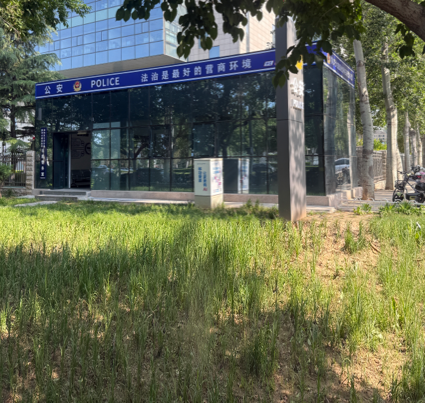 logo设计